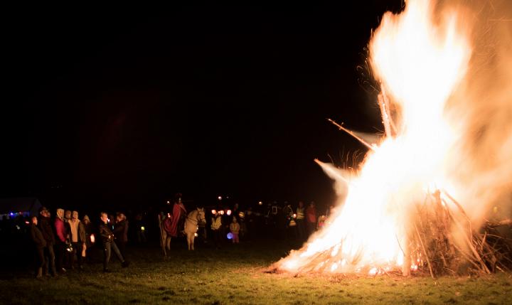 Bild: 20231111-190135.jpg